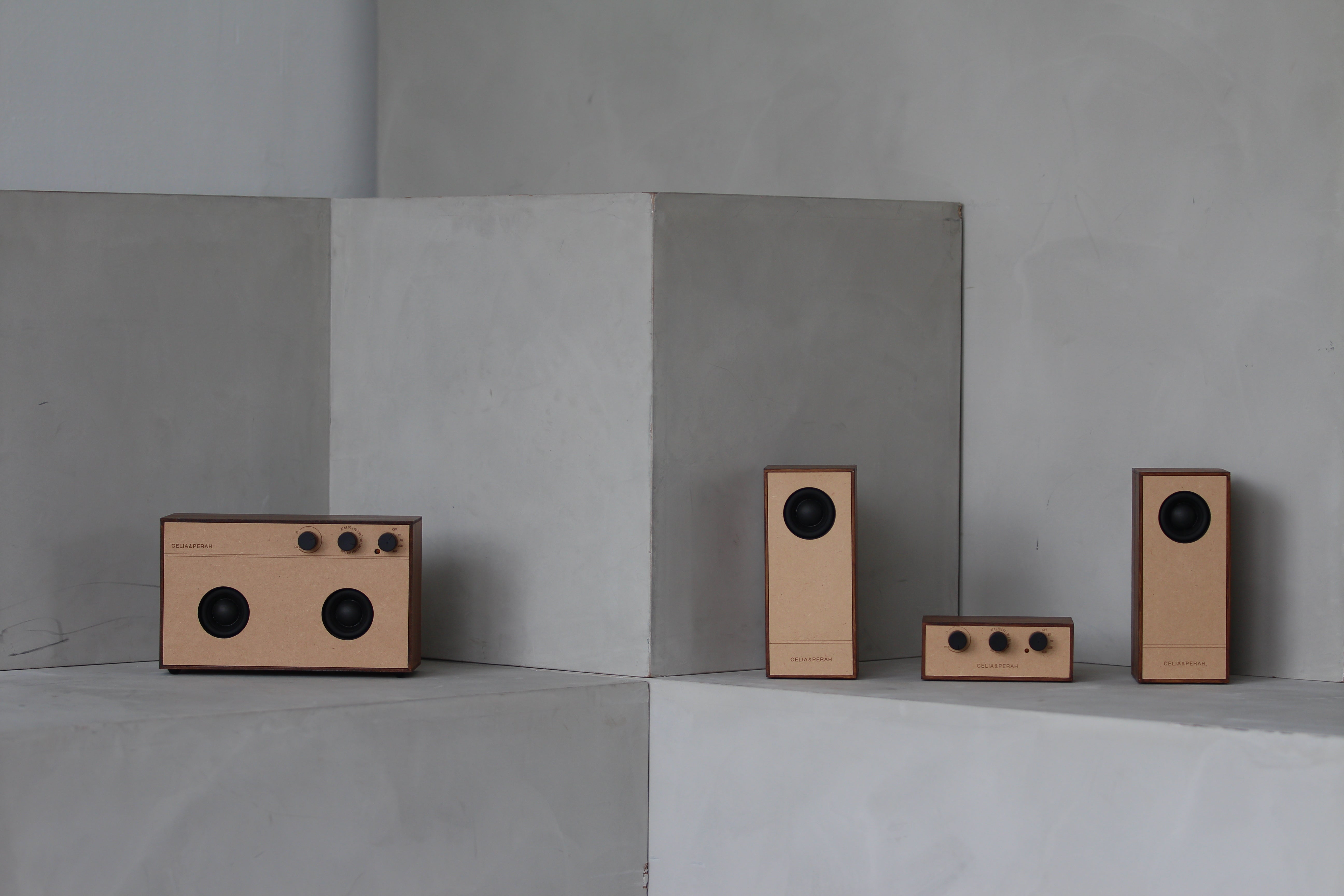 R3 & R4 DIY Bluetooth Radio – CELIA & PERAH