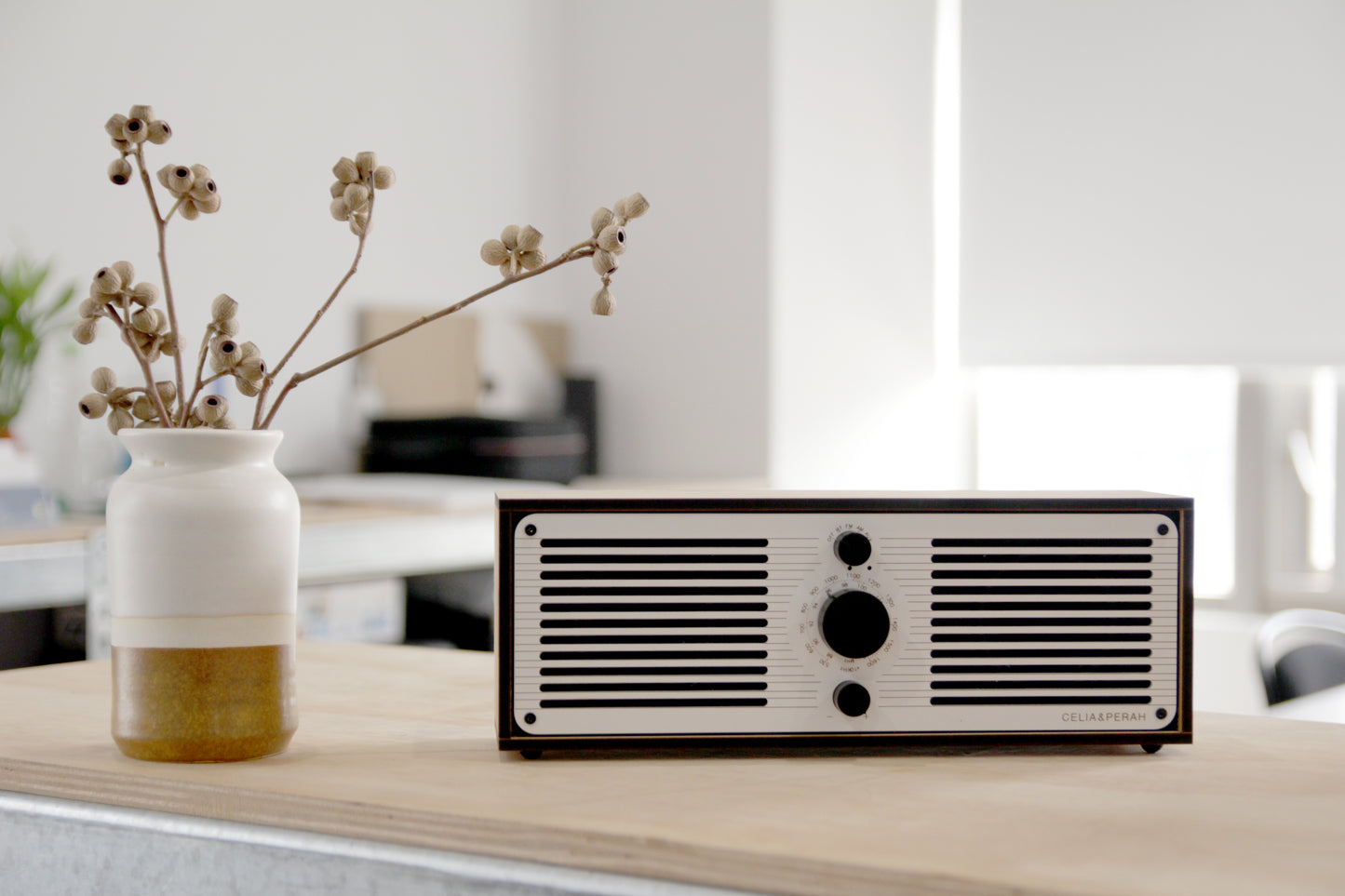 R2 | DIY Bluetooth Radio (Stereo)