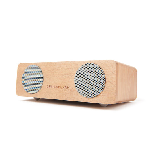 M2 Portable Hi-Fi Speaker