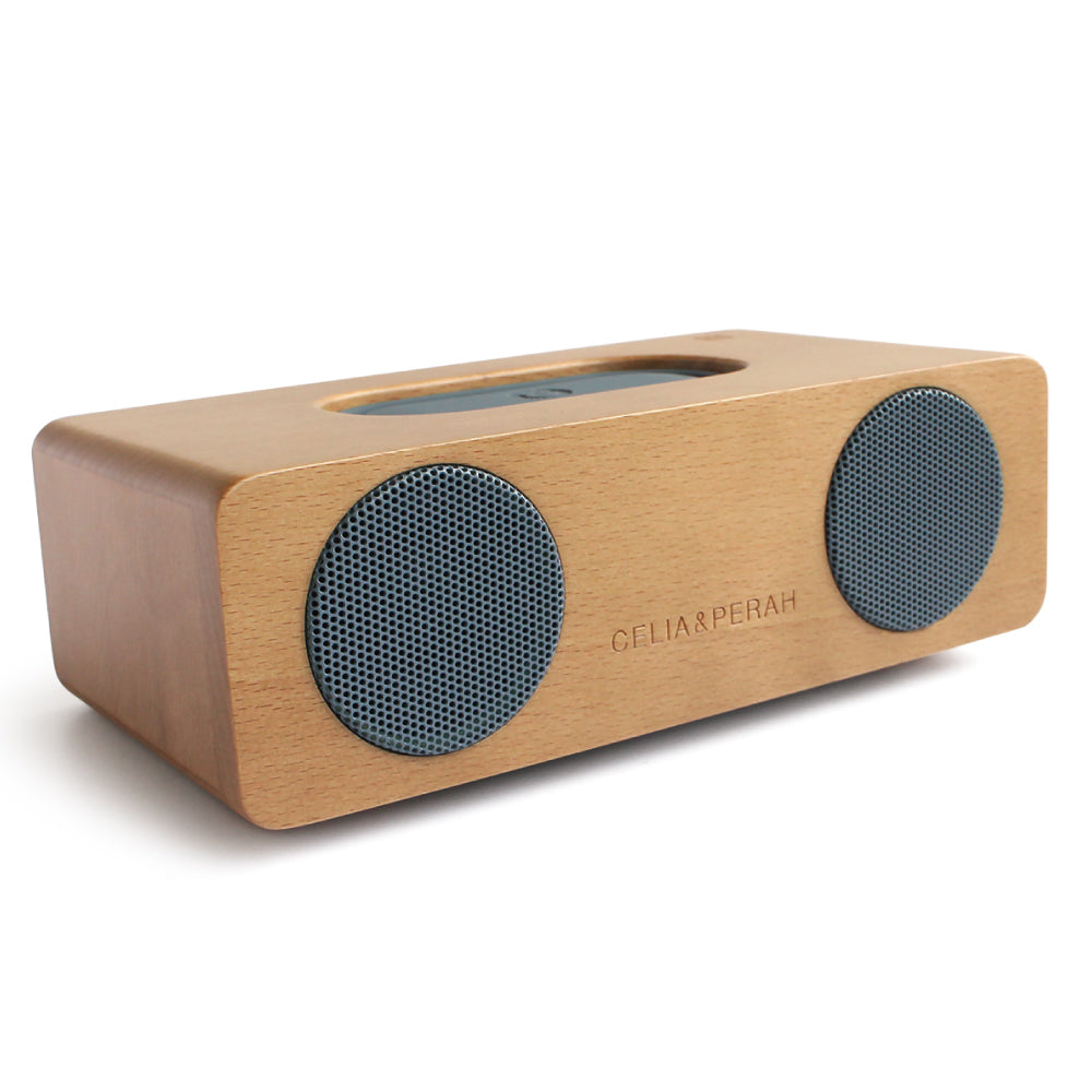 M2 Portable Hi-Fi Speaker