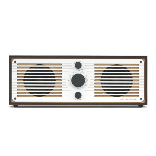 R2 | DIY Bluetooth Radio (Stereo)