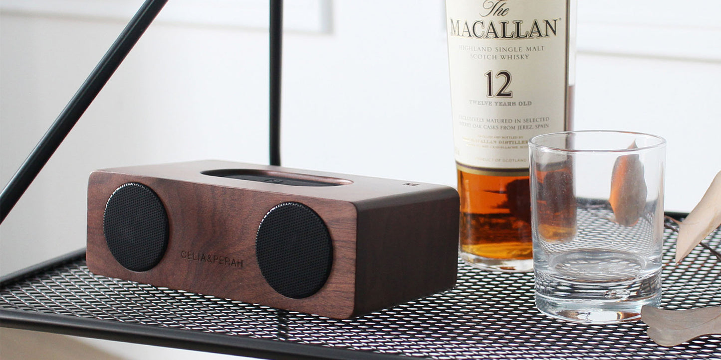 M2 Portable Hi-Fi Speaker