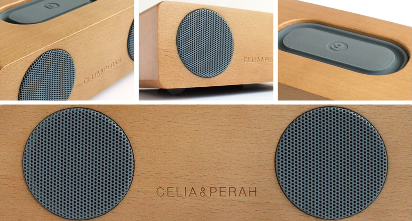M2 Portable Hi-Fi Speaker