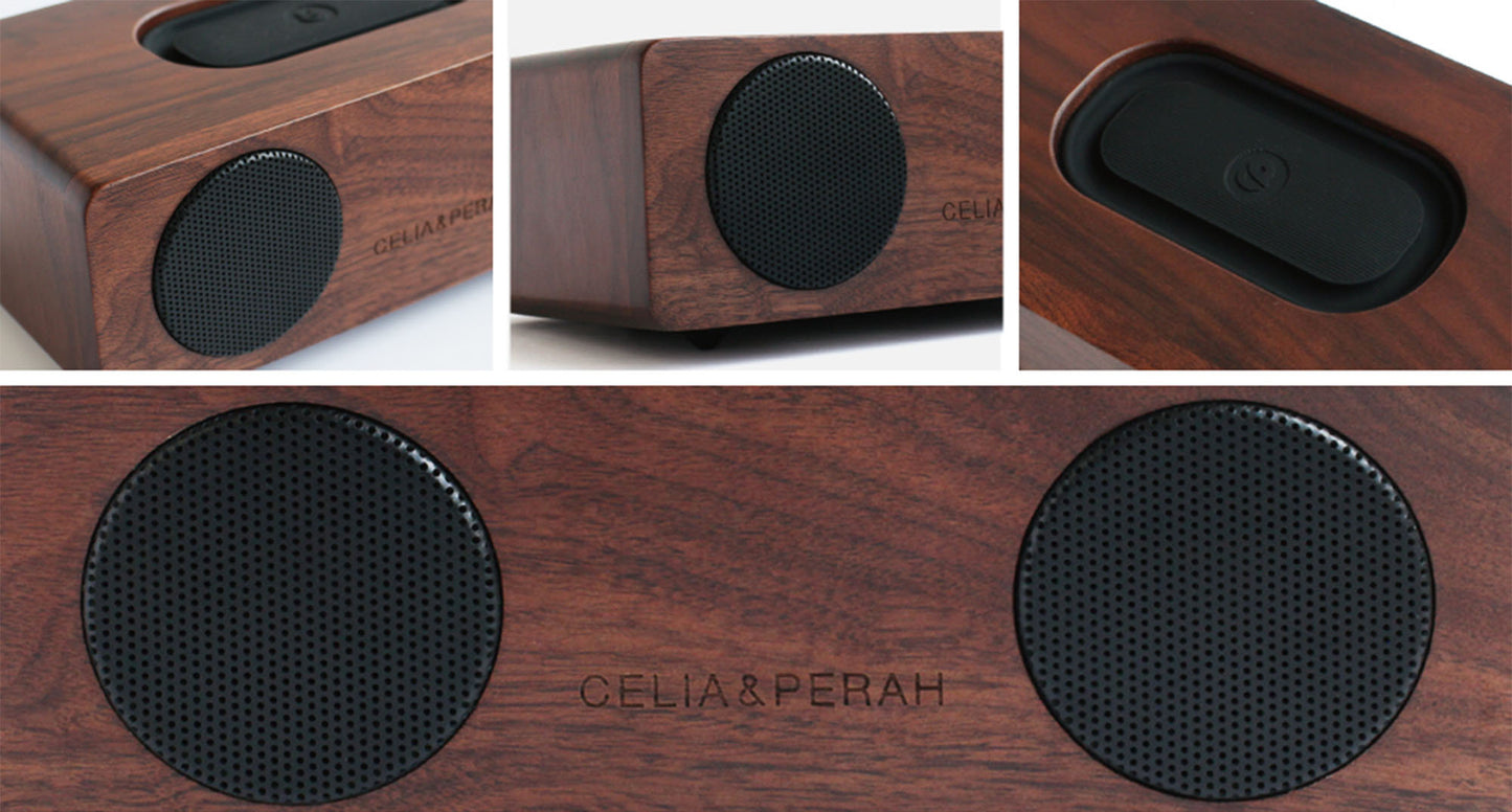 M2 Portable Hi-Fi Speaker