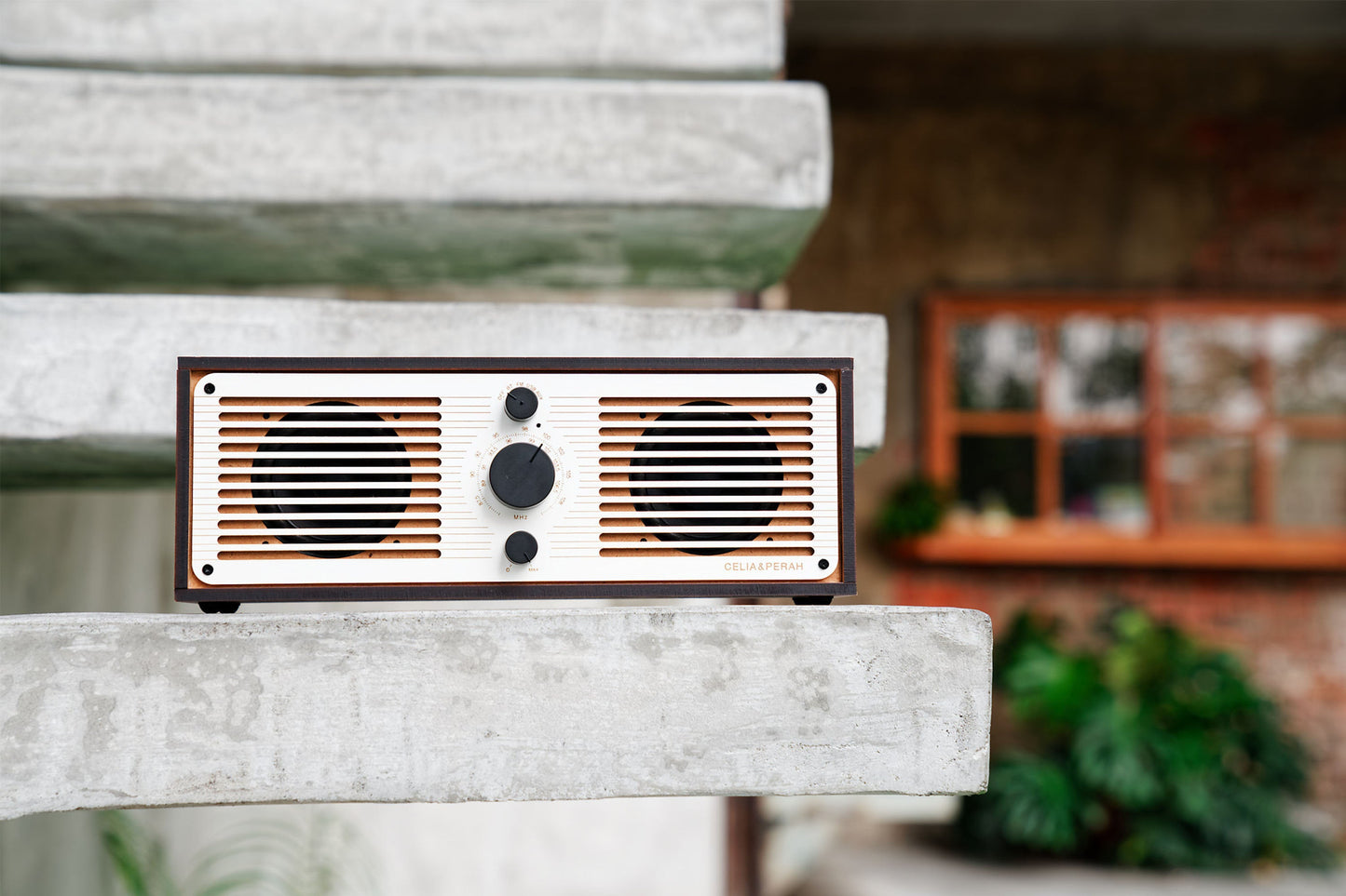 R2 | DIY Bluetooth Radio (Stereo)