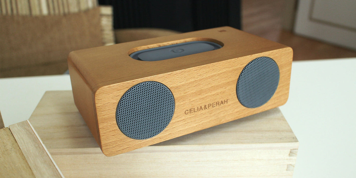 M2 Portable Hi-Fi Speaker