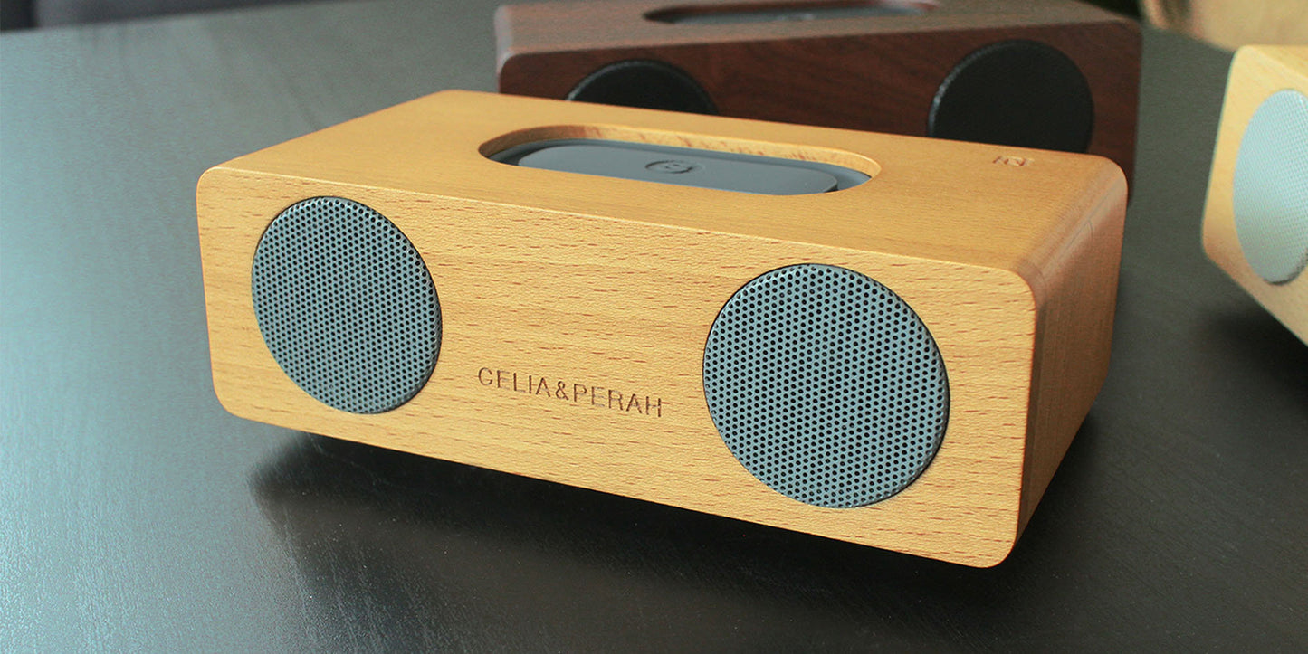 M2 Portable Hi-Fi Speaker