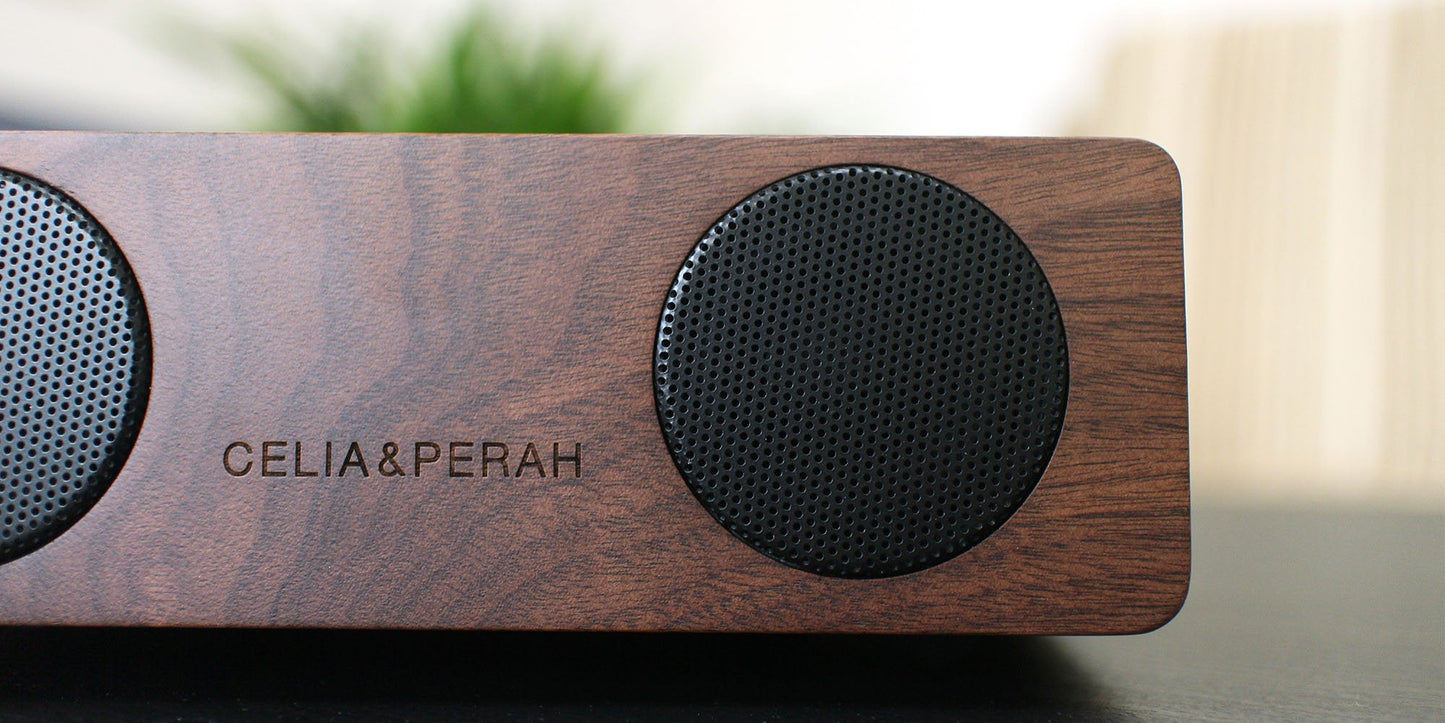 M2 Portable Hi-Fi Speaker
