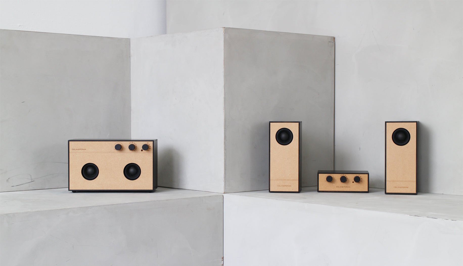 Celia & Perah/スピーカー/R4-BK/R4 DIY AUDIO SYSTEM (組み立て