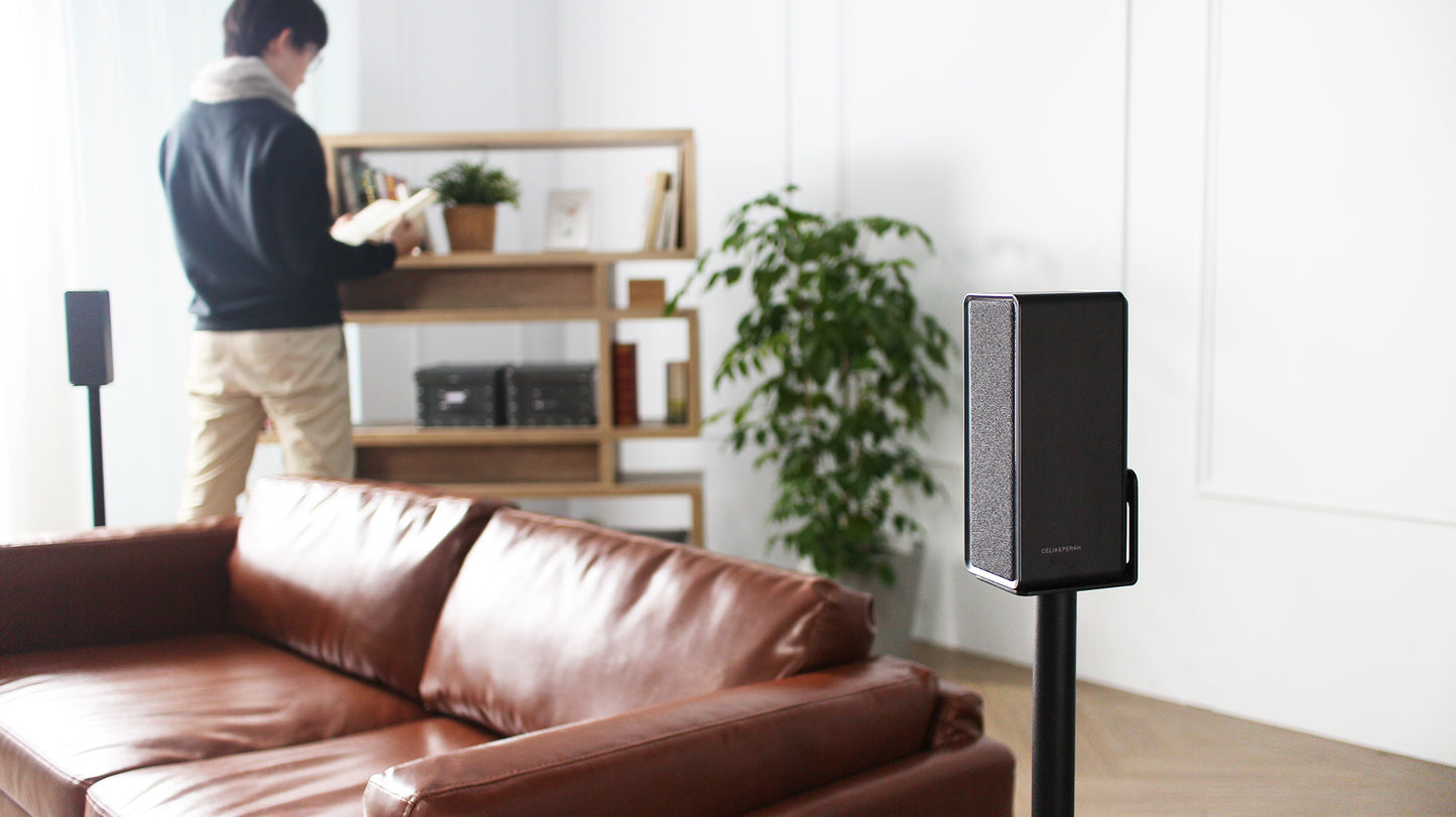 M6 | Wireless Scalable Sound System