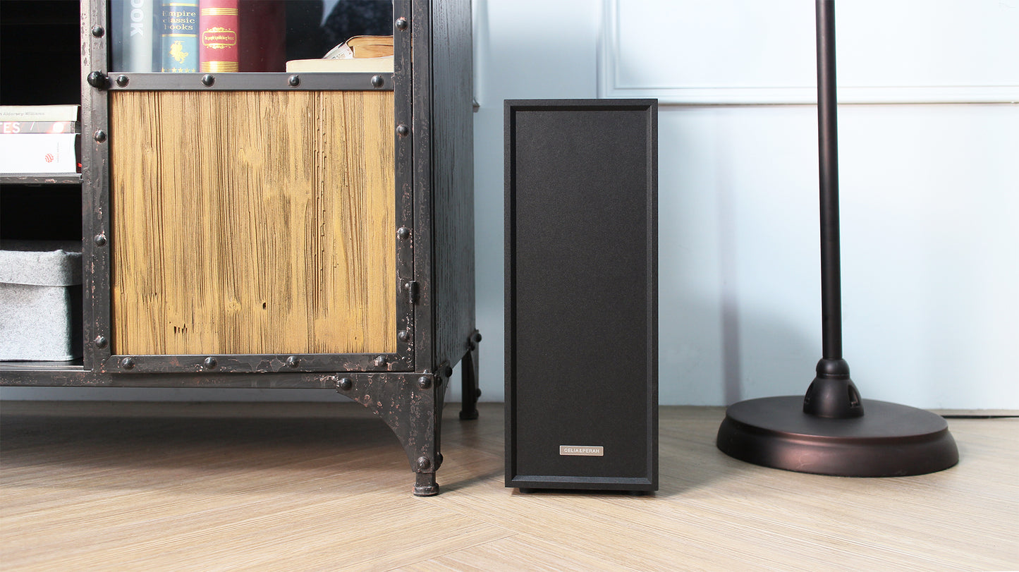 M6 | Wireless Scalable Sound System