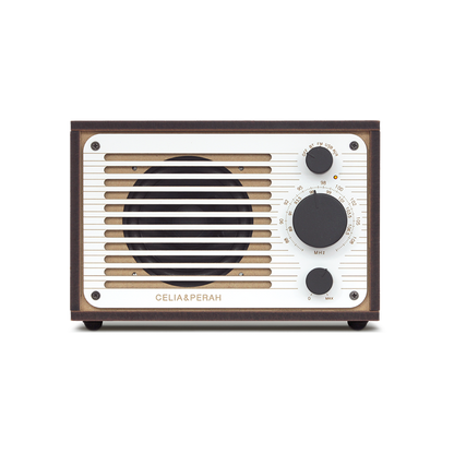 R1 | DIY Bluetooth Radio (Mono)