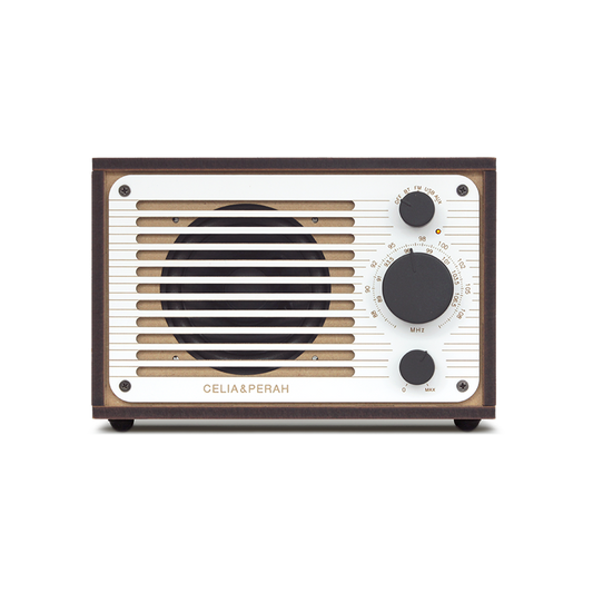 R1 | DIY Bluetooth Radio (Mono)